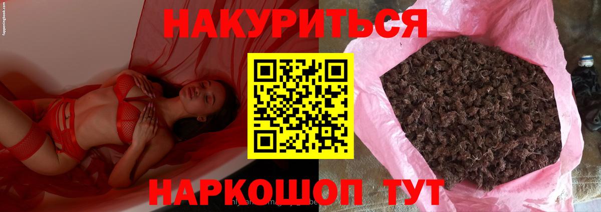Бошки Шишки SATIVA & INDICA  Каннабис THC 21%  Сыктывкар  Вход с VPN 