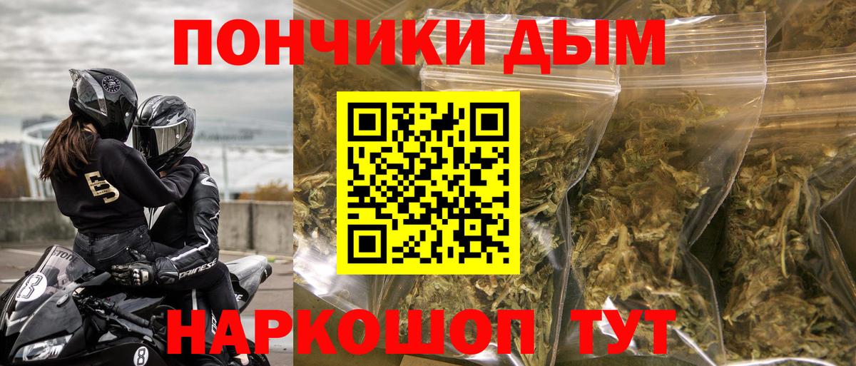 Бошки Шишки гибрид Сыктывкар